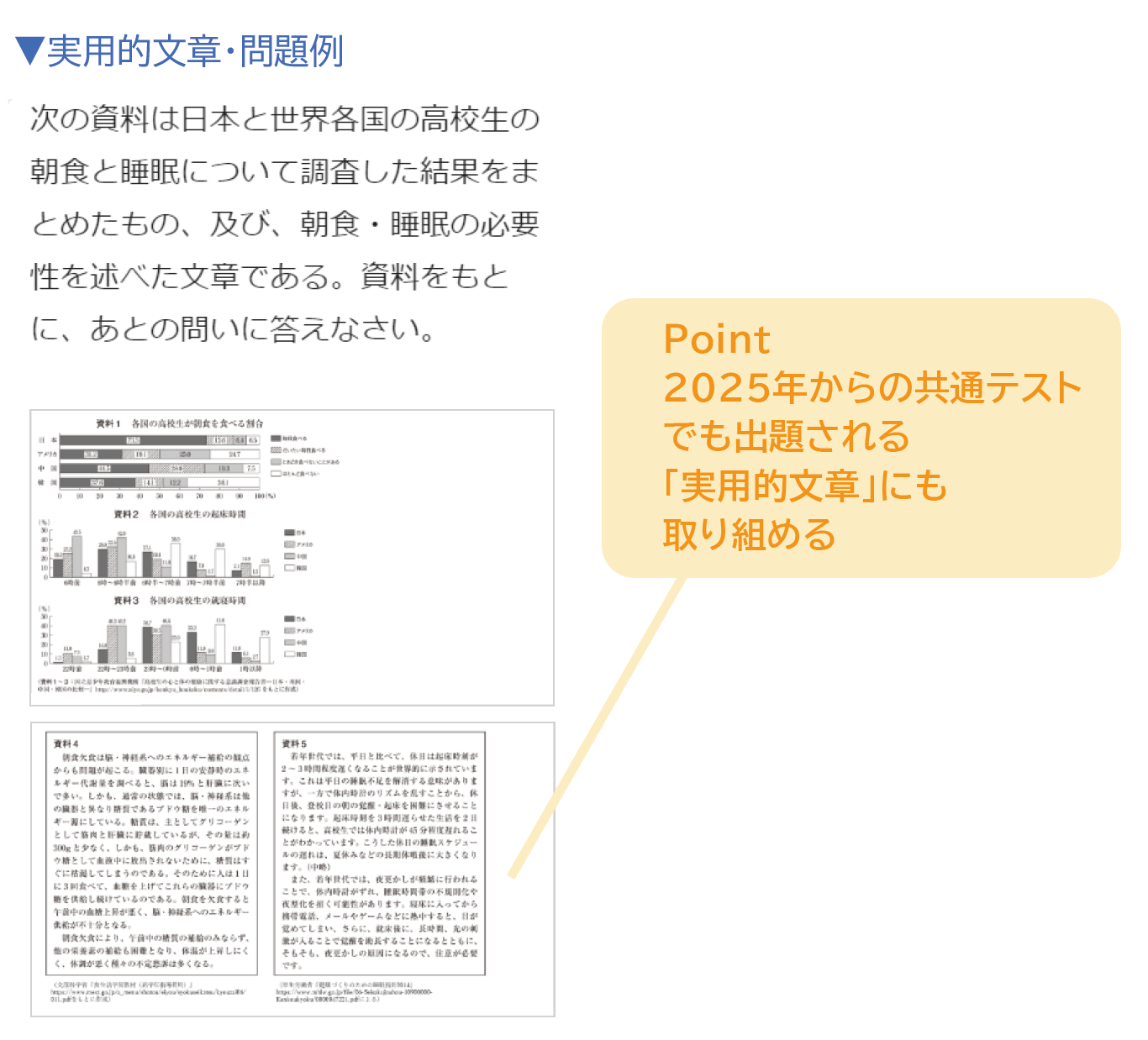 実用的文章_問題例.png