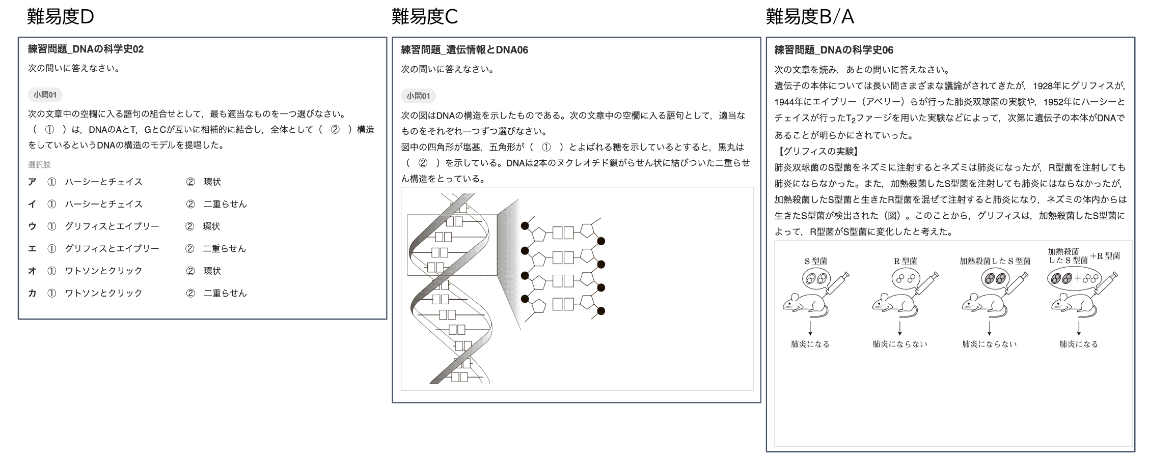 【生物基礎】学習トレーニング 問題例.png
